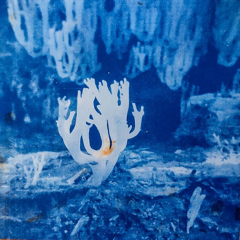 The orange is some misplaced watercolour!