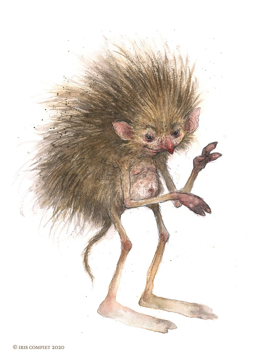 creature from Faeries of the Faultlines