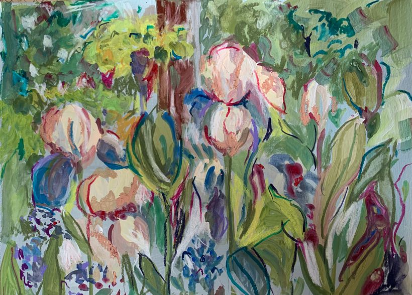 Iris 1