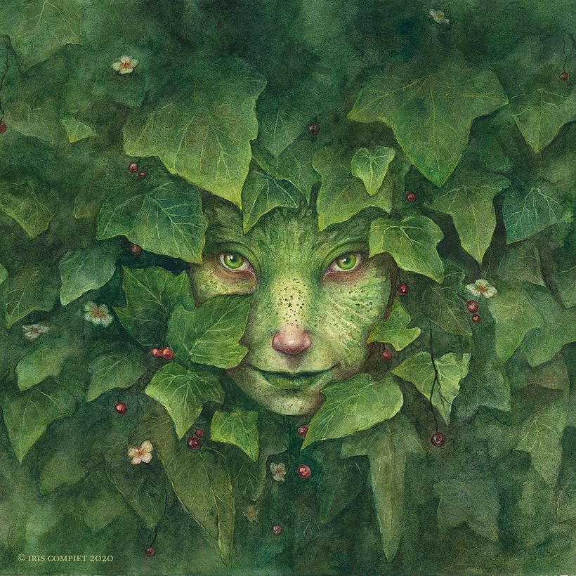 cover from Faeries of the Faultlines
