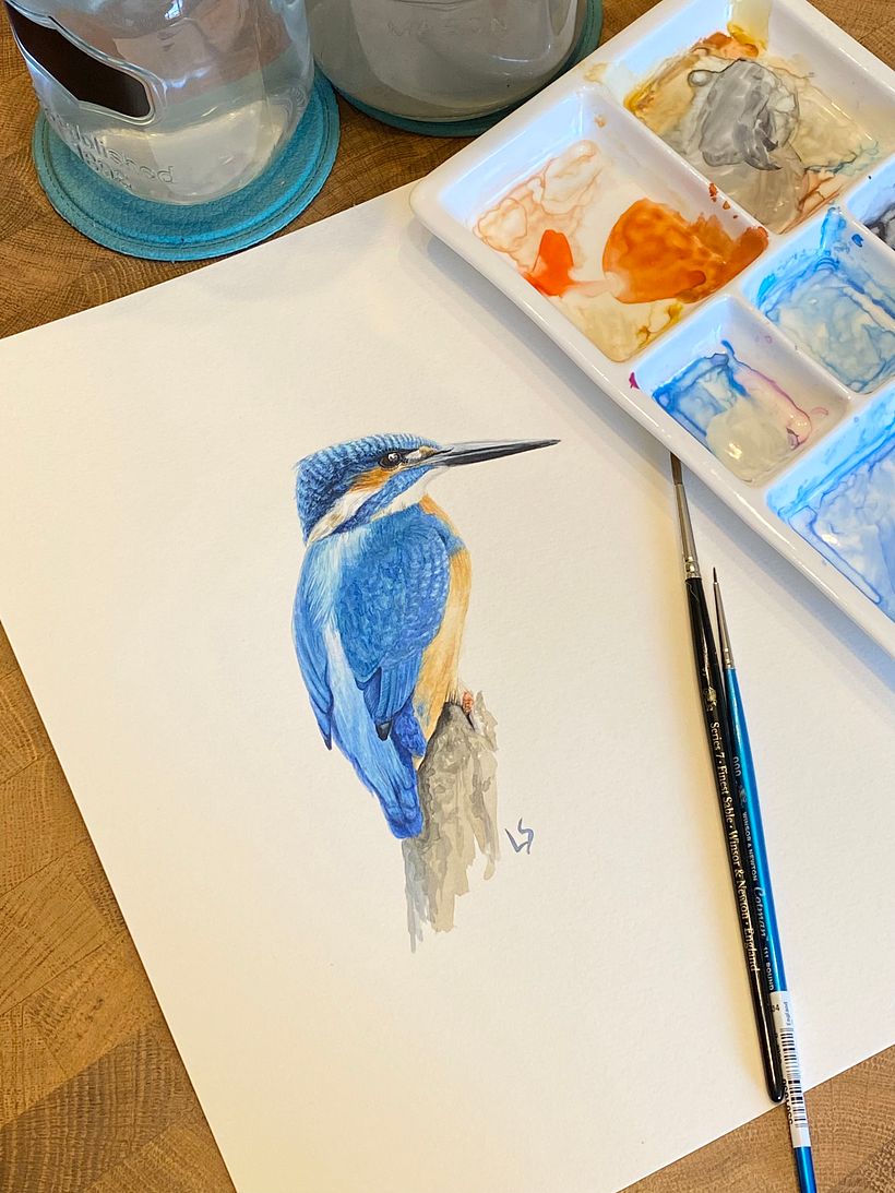 My project for course: Naturalist Bird Illustration with Watercolors 1
