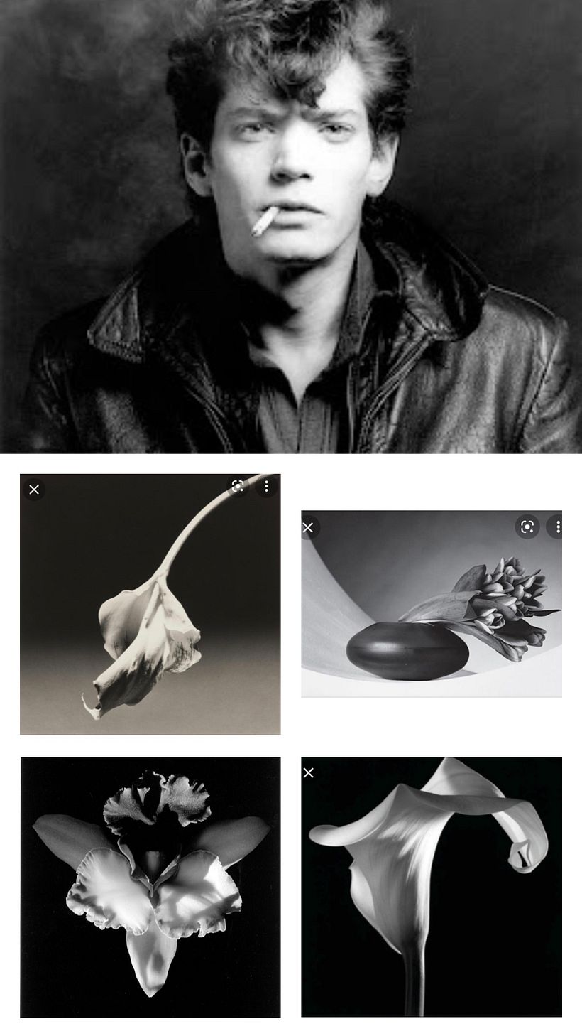 Robert Mapplethorpe