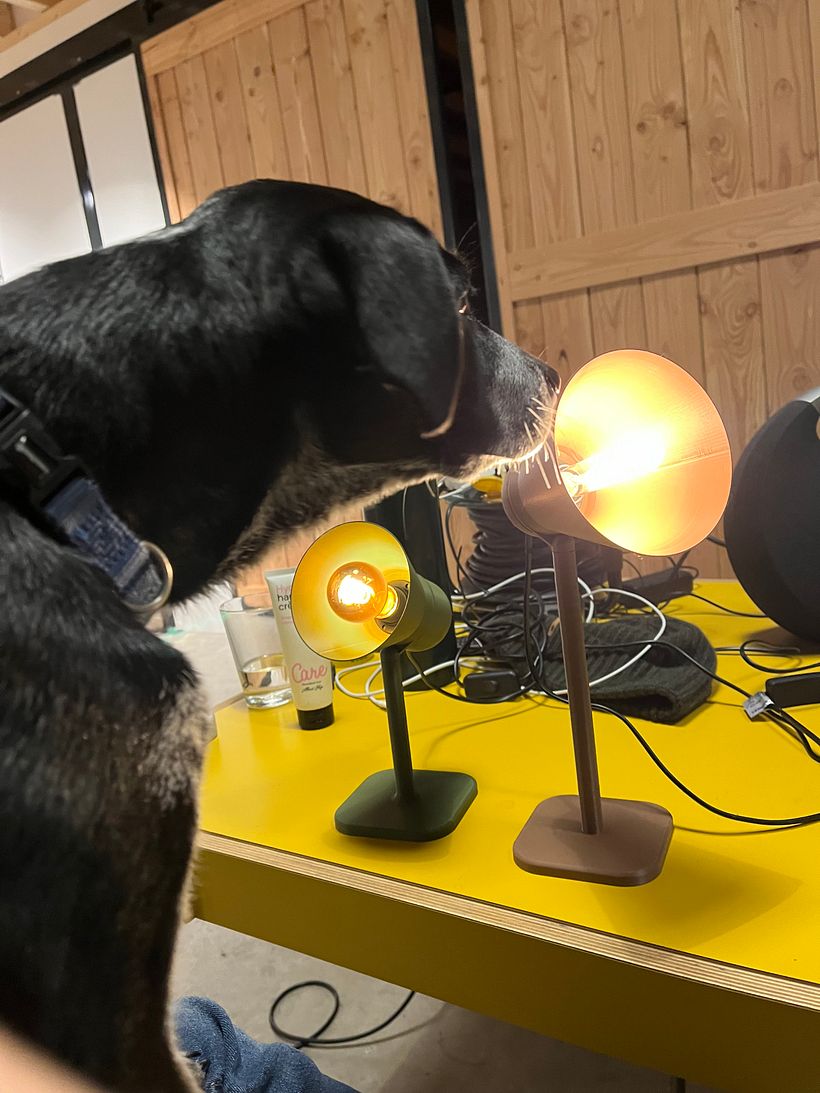 3D printed lamps 2
