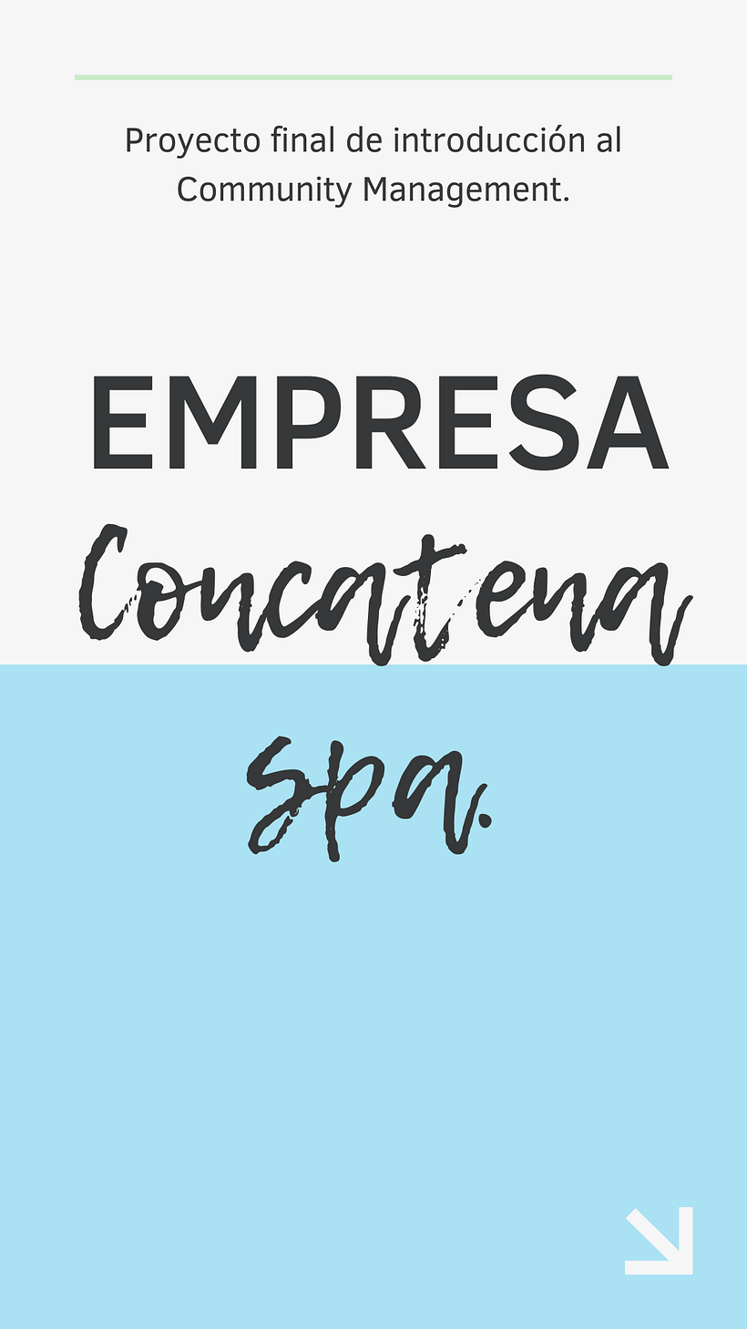 Mi proyecto del curso: Introducción al community management 1