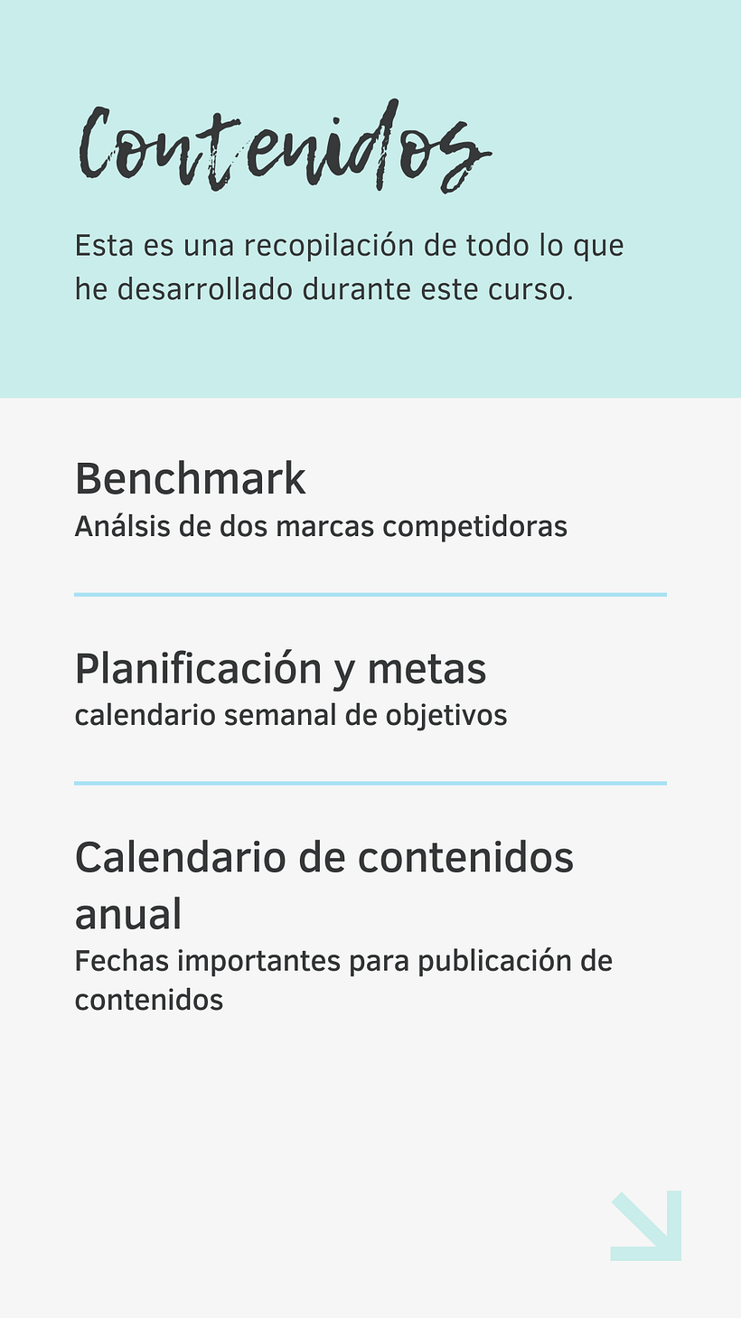 Mi proyecto del curso: Introducción al community management 2