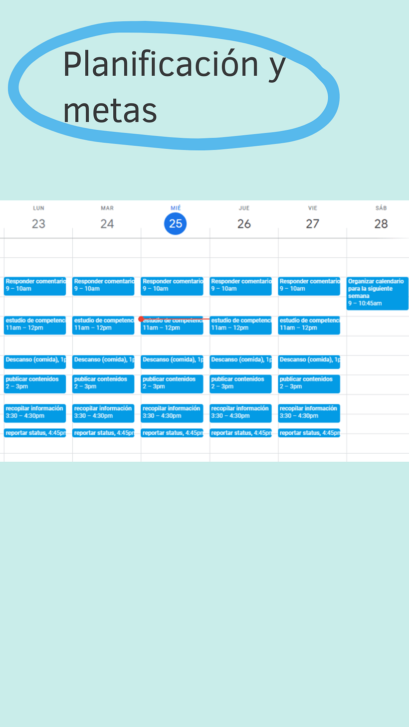 Mi proyecto del curso: Introducción al community management 5