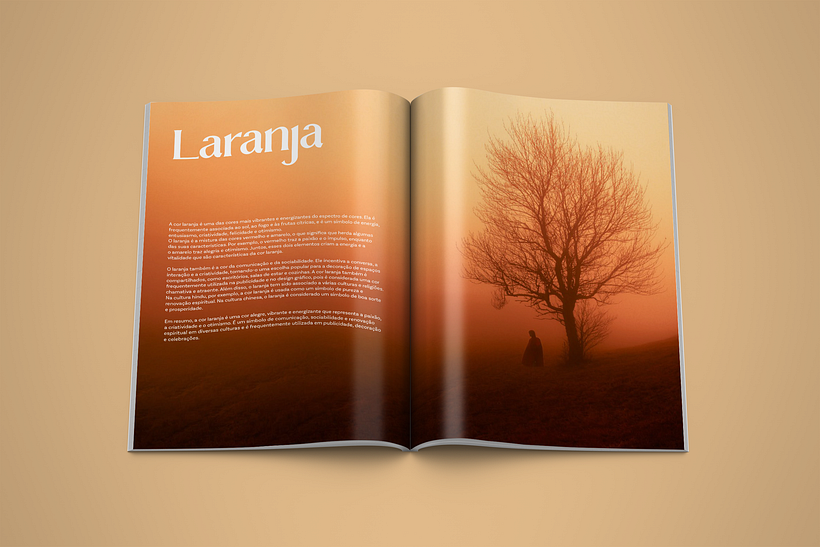 Meu projeto do curso: Introdução ao design editorial 1