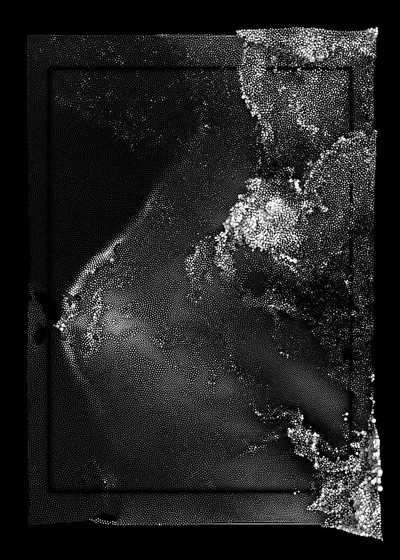 Fluid Simulations 1