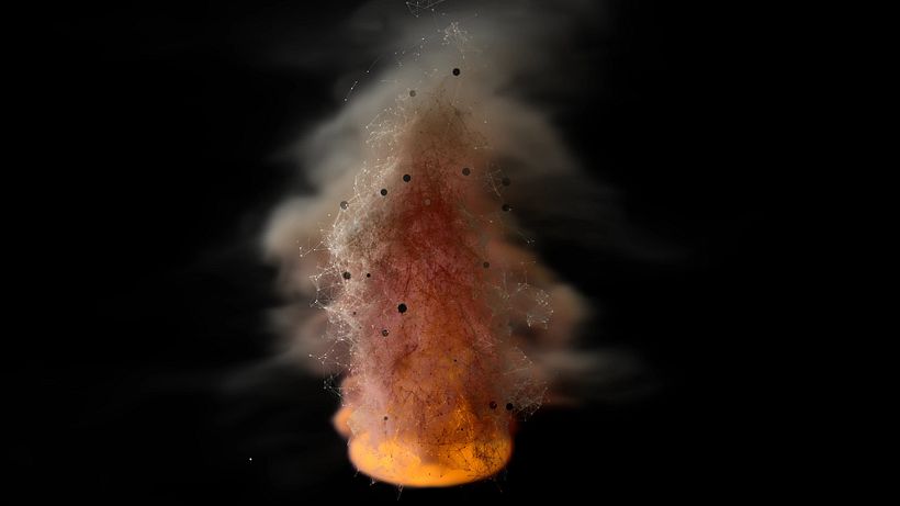 Fluid Simulations 7