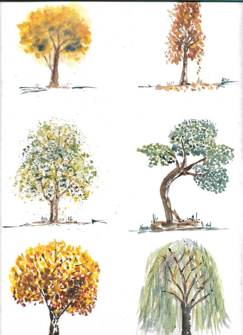 Arboles practica 1