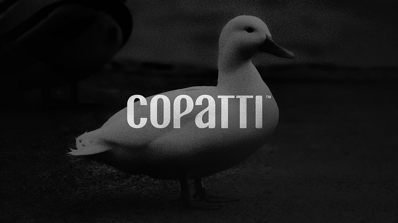Copatti Store 1