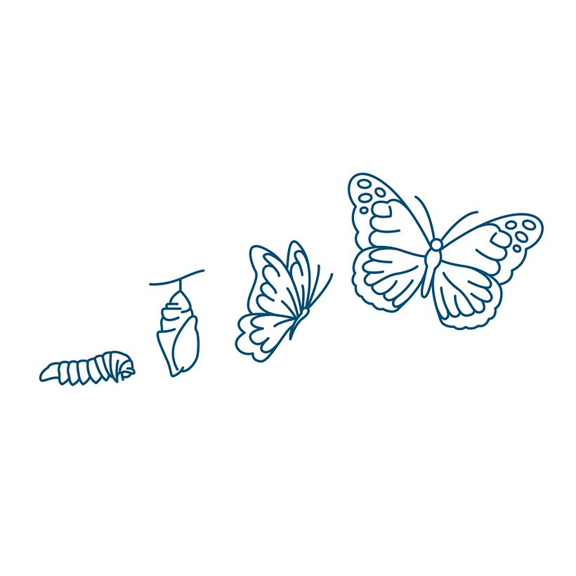5 easy things to Draw for beginners 9