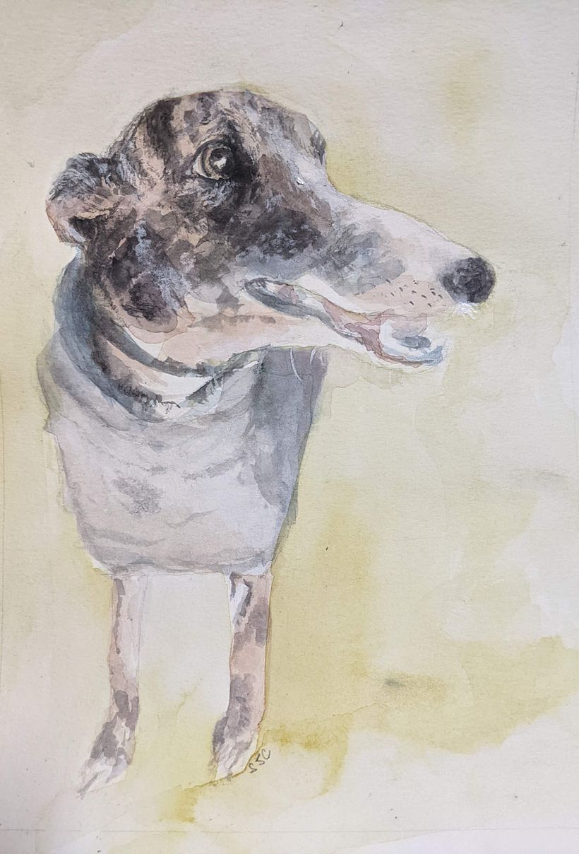 My project for course: Experimental Watercolor Techniques for Beginners 1