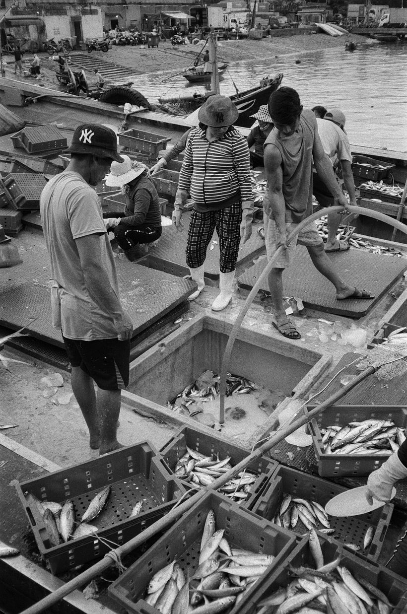 Se bombea agua a las bodegas para que se pueda llegar más fácilmente a los peces.