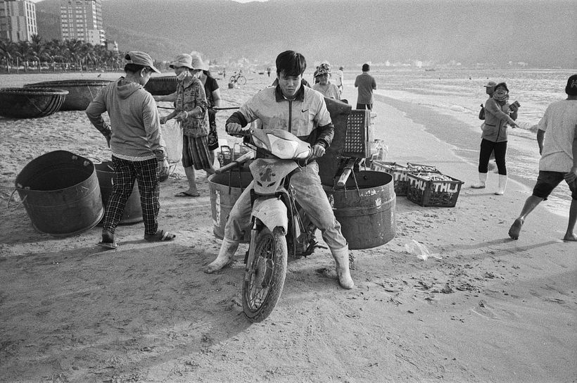 Las bicicletas son la forma más rápida de llevar el pescado desde la playa hasta el mercado.