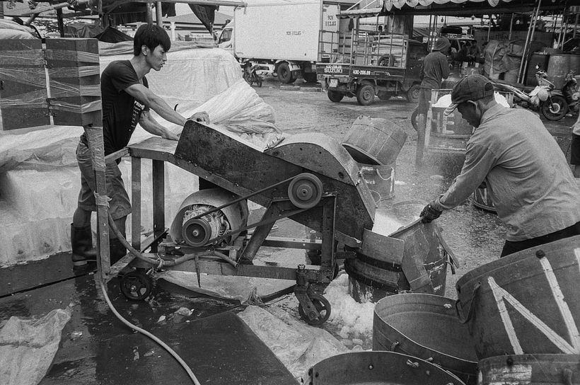 Los bloques de hielo se muelen con una máquina antigua. Se necesita mucho hielo para mantener los mariscos frescos.