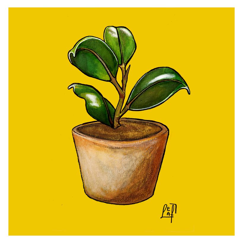 Young Friend - Illustration traditionnelle