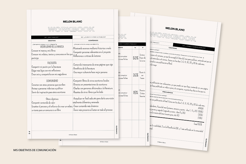 Organización de los objetivos, porcentajes de la importancia de cada uno y dentro del feed.
