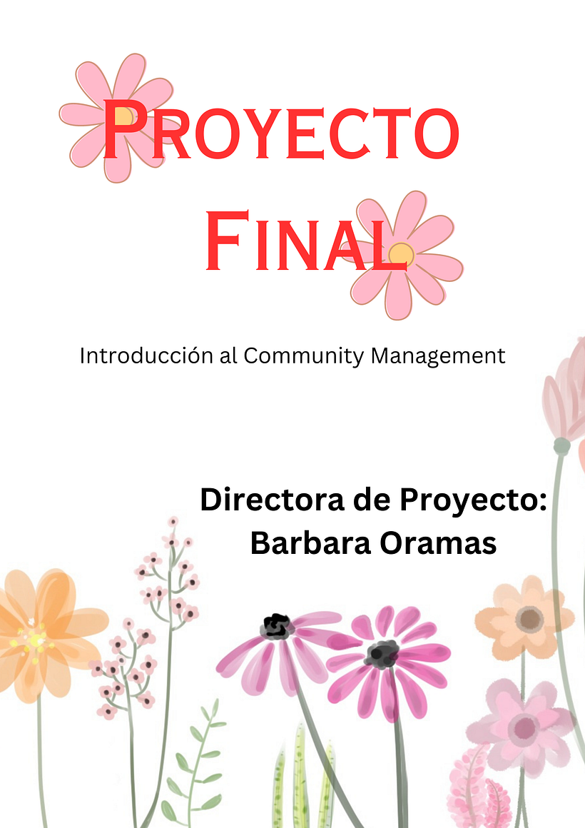 Mi proyecto del curso: Introducción al community management 2