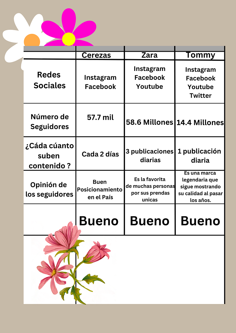 Mi proyecto del curso: Introducción al community management 4