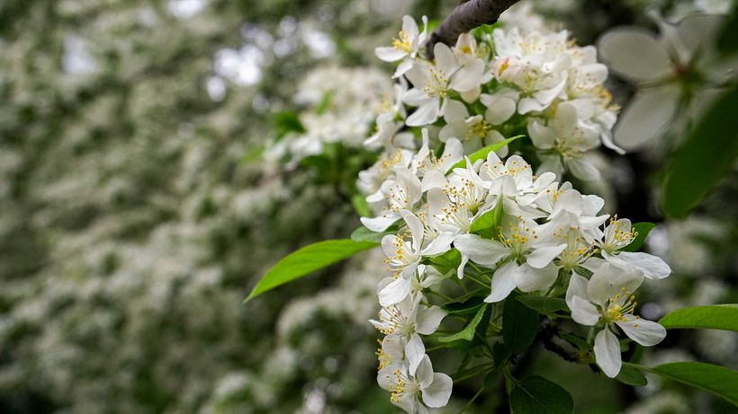 Frankfurt & Jena (Germany): Lifestyle and Travel Photography 6