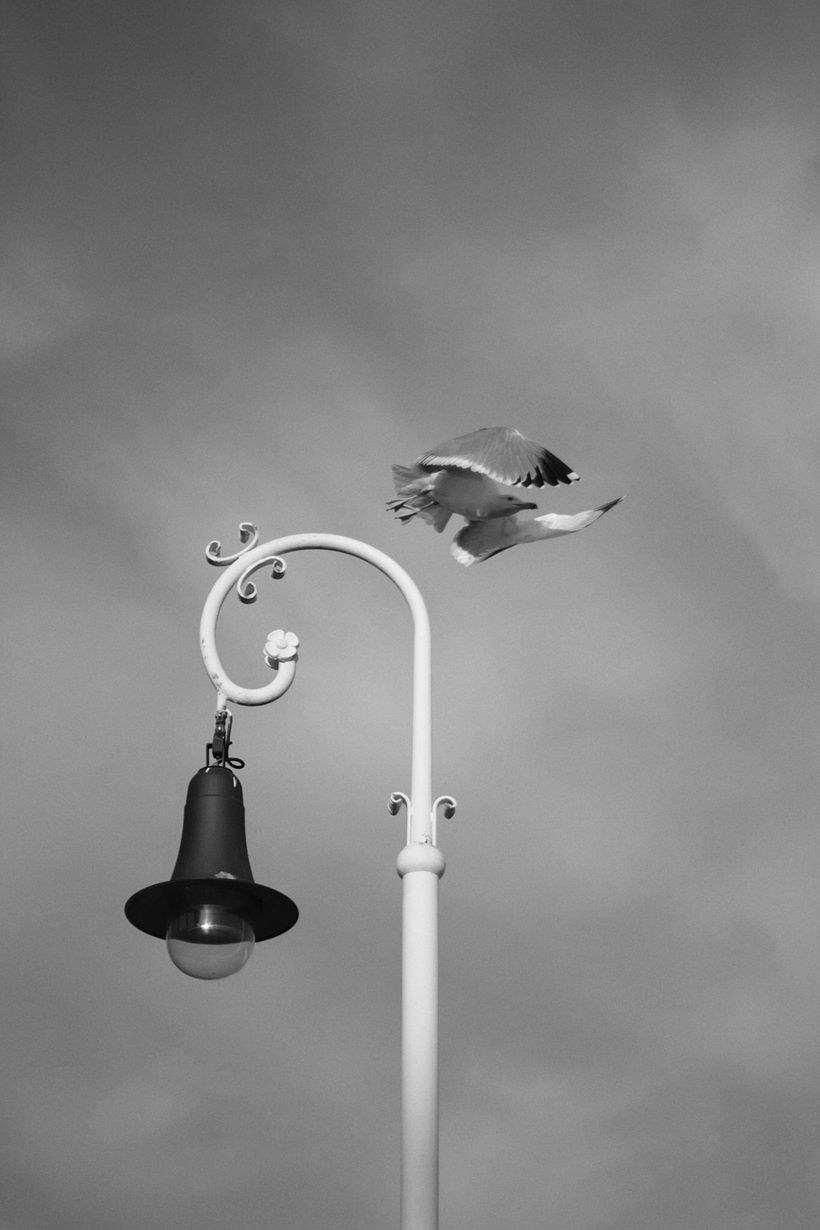 Street photography 6