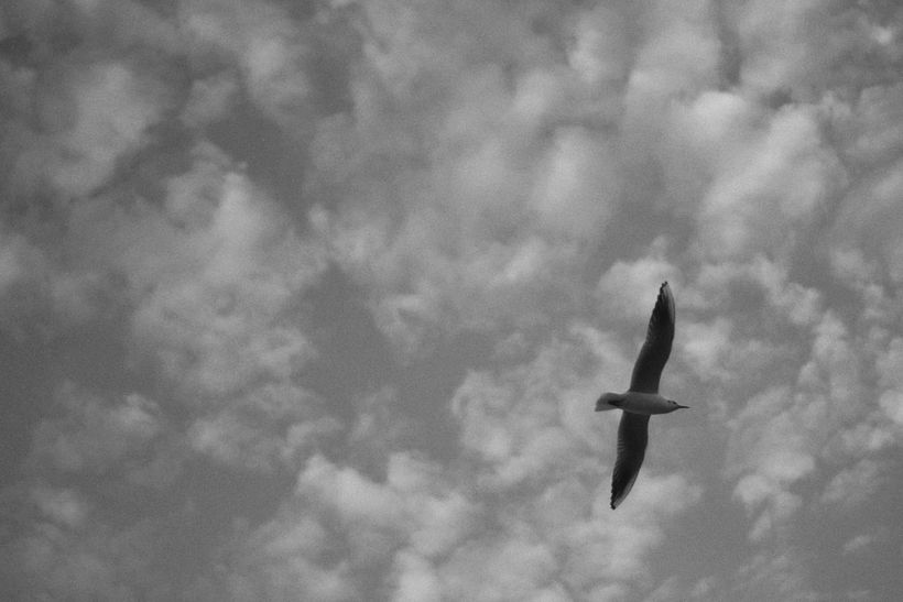 Street photography 8