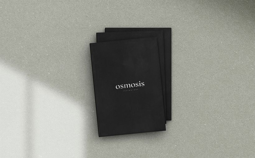 OSMOSIS & L'ORIGEN | Brand Identity 5
