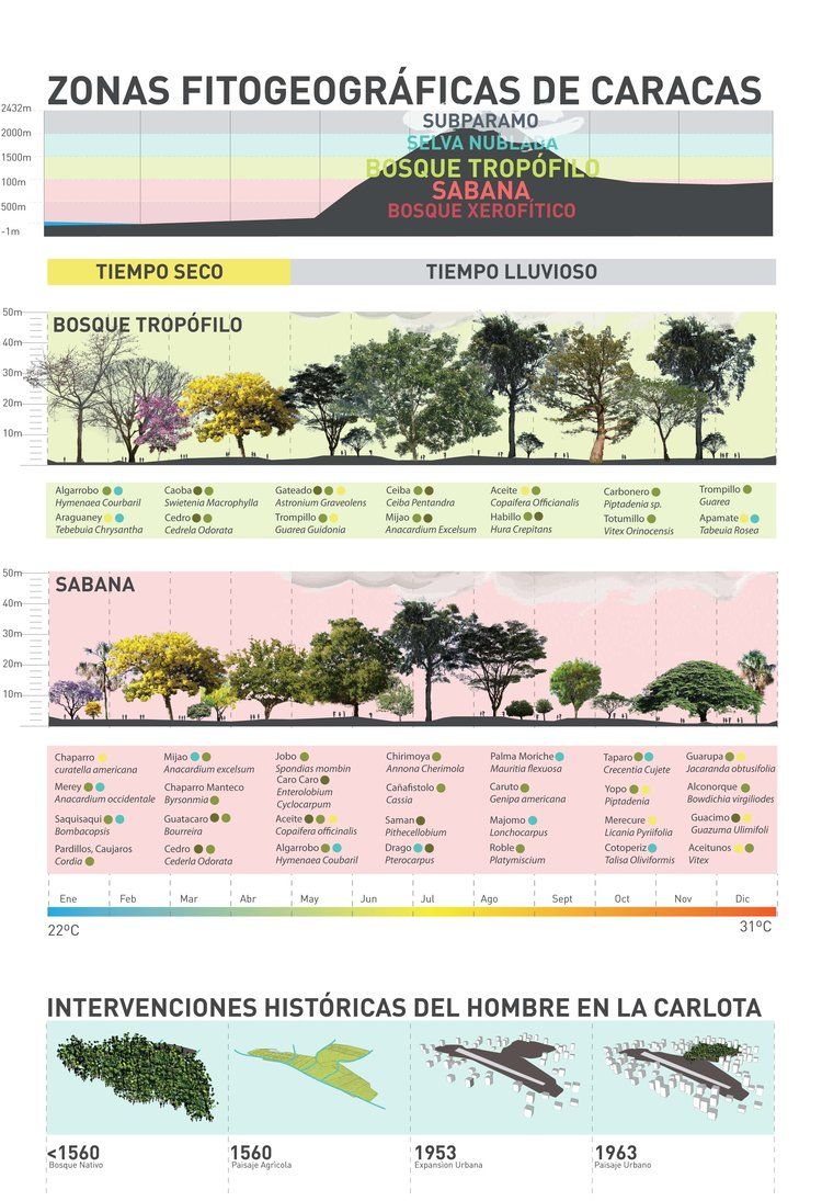 Parque Metropolitano La Carlota 12