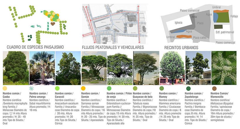 Centro Histórico de Barranquilla 7