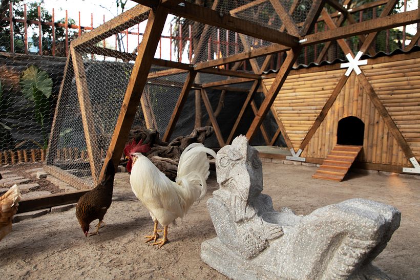 Chicken Itza 6