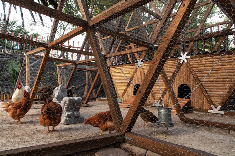 Chicken Itza 8