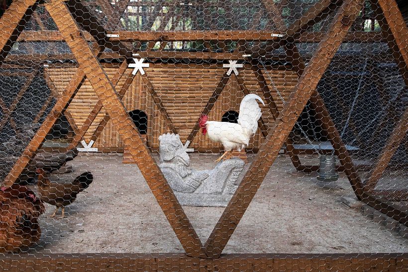 Chicken Itza 9