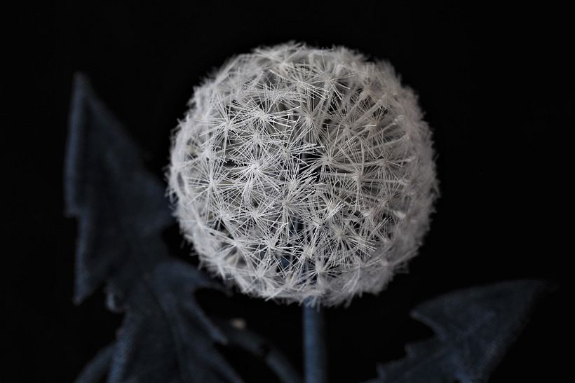 Cotton Denim Dandelion Clock Brooch - a closeup of the clock