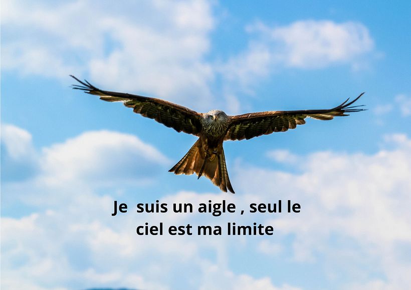Mon projet du cours : Introduction au community management 1