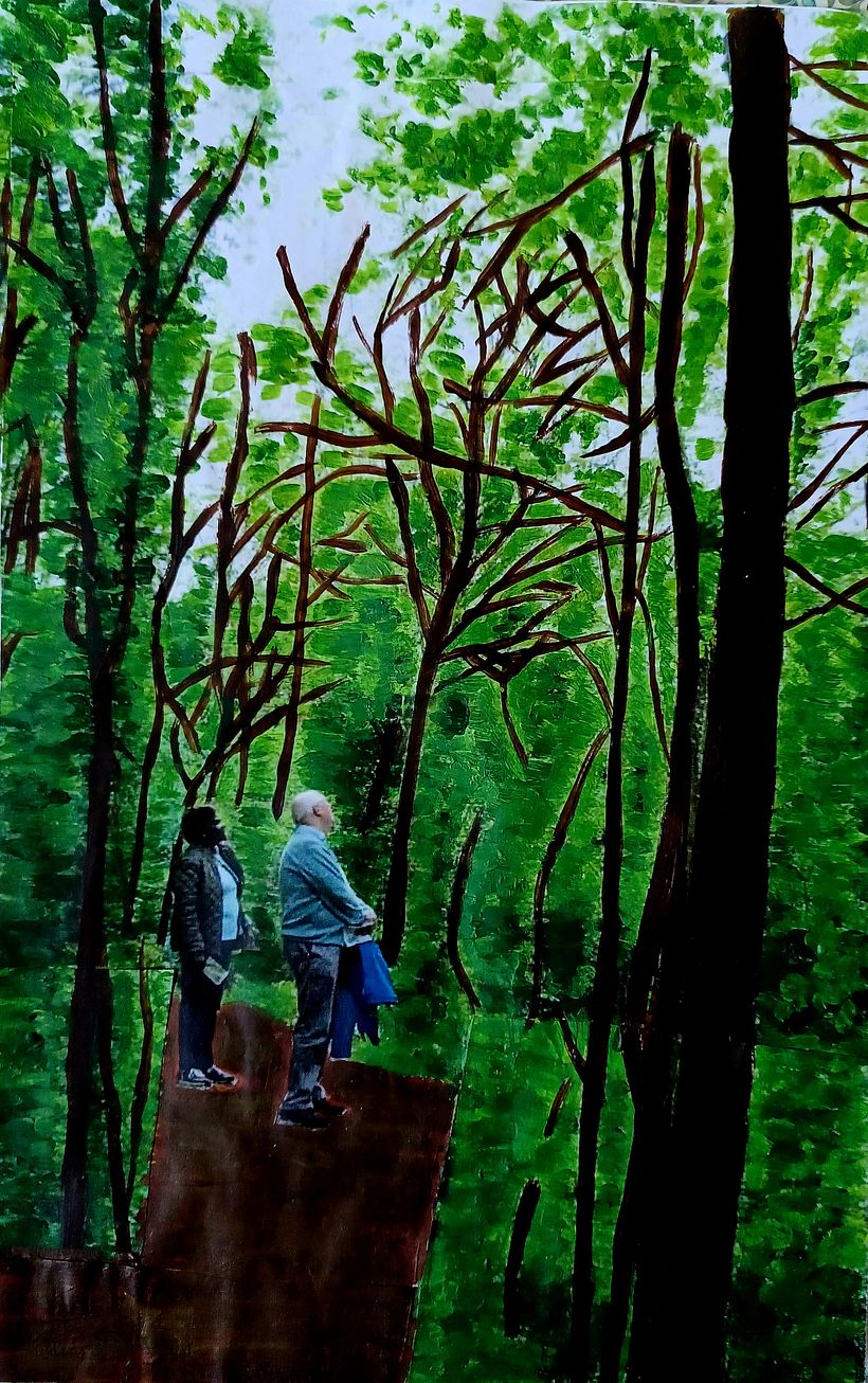 The Woods at National Trust's Chirk Castle, Wales, is intervened.