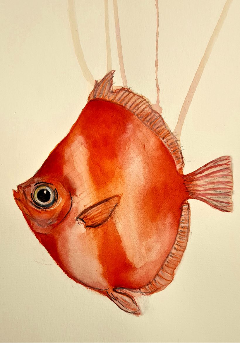 My project for course: Marine Universe Illustration in Watercolor 2