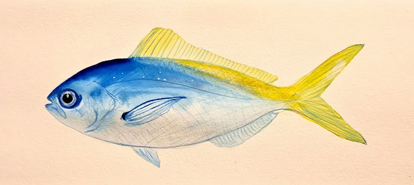 My project for course: Marine Universe Illustration in Watercolor 3
