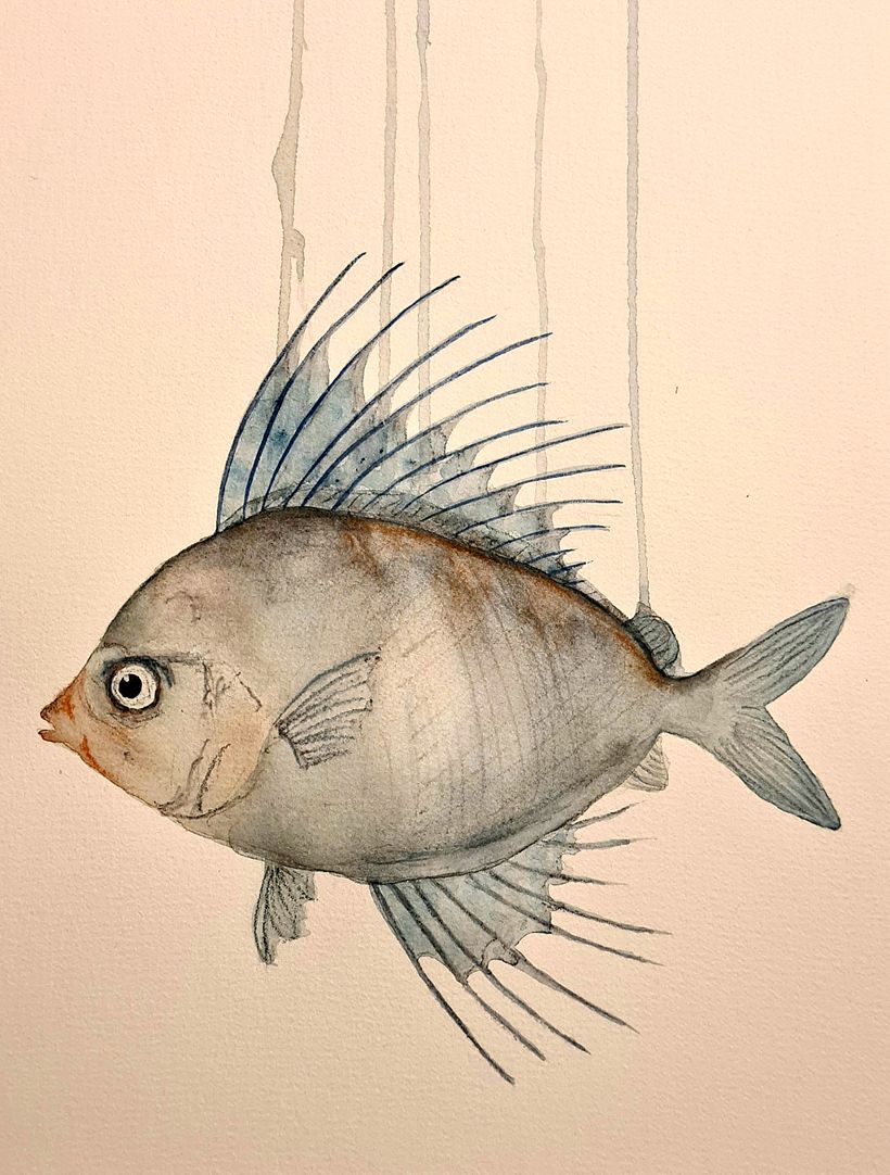 My project for course: Marine Universe Illustration in Watercolor 4