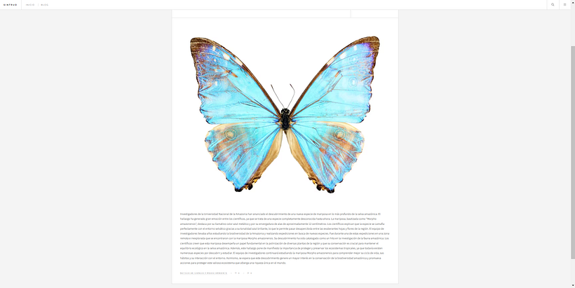 Mi proyecto del curso: Introducción al desarrollo web con PHP 4