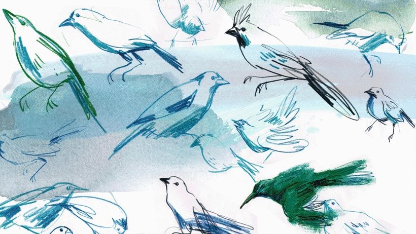 5 Inspiring Watercolor Painting Ideas 0