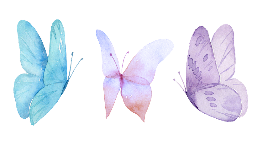 watercolor painting ideas Butterflies