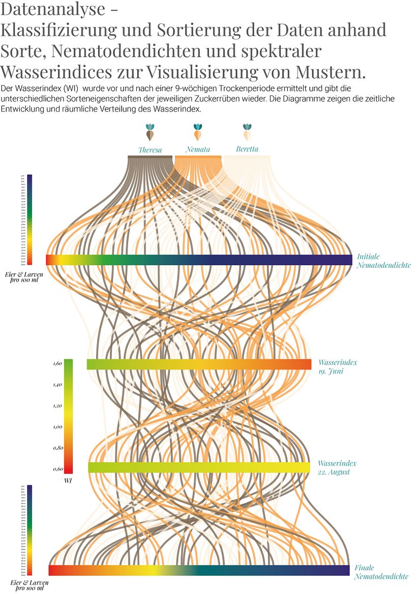 Scientific field study: Poster series 3/4 "Data analysis" - sorting and classification of spectral data vs. biological data.