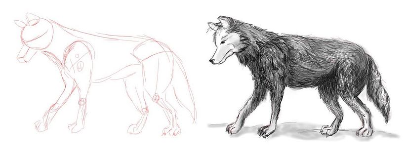My project for course: Dynamic Animal Illustration for Children’s Stories 2