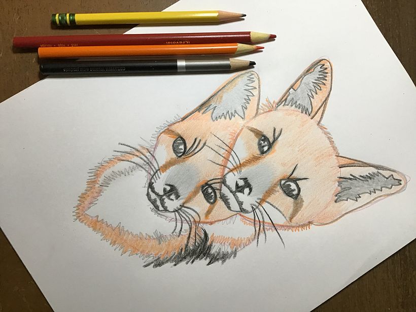 Foxes. I used colored pencils for the duck and the foxes.