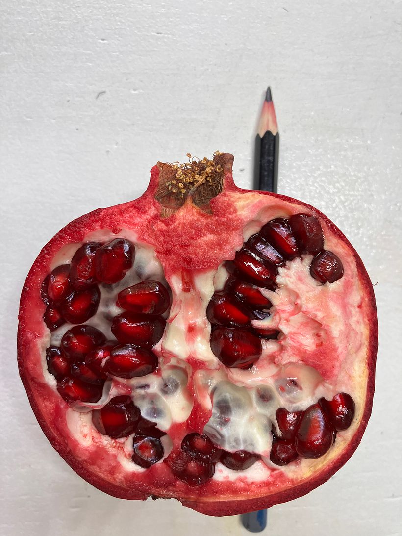 Ik heb altijd al een granaatappel willen schilderen, maar het leek me onmogelijk