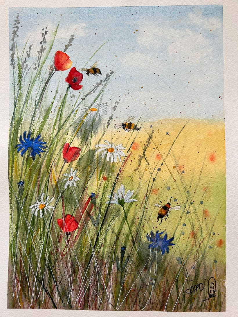 My project for course: Illustrating the Natural World with Watercolor and Charcoal 1