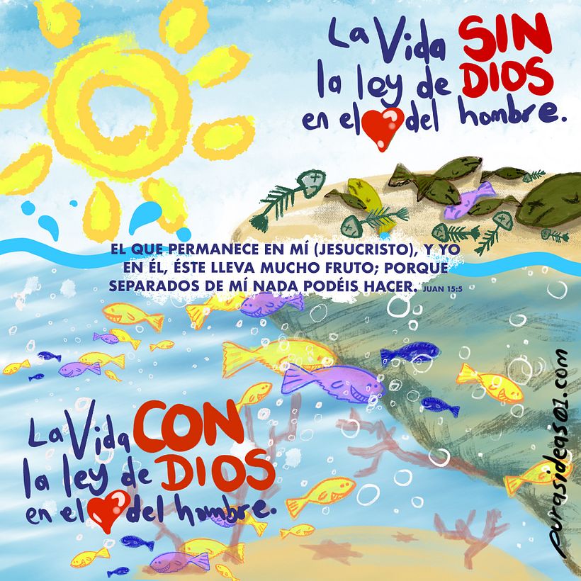 un poco de todo 5