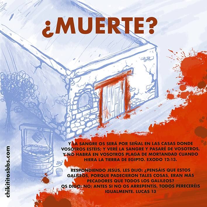 un poco de todo 6