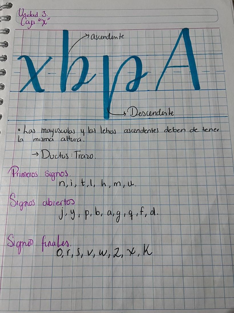 Mi proyecto de script lettering  5